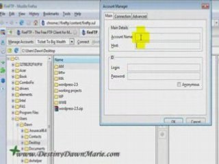 Pre-Install work for a WordPress Website
