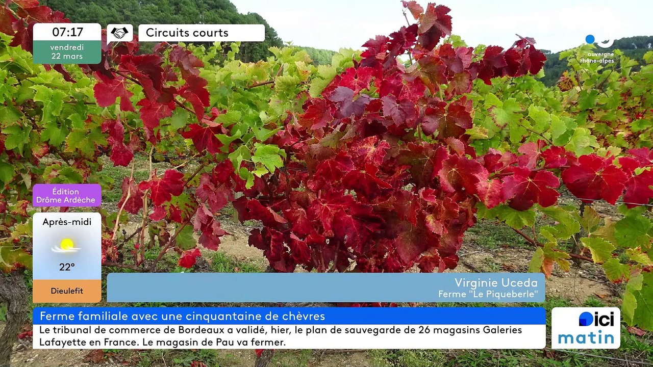 A Sanilhac, Gaec "Le Piqueberle", ses chèvres et vaches, ses fromages, confitures, châtaignes et vins