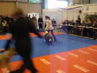 Byron la roche sur yon 2008