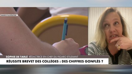 Sophie de Tarlé : «Dans l'académie de Créteil, la différence est de l'ordre de 6 points»