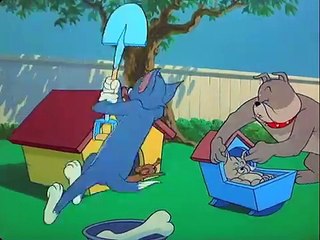 Tom and Jerry Cartoon - Ep 082 - Hic-cup Pup [1954]