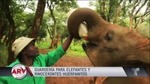 Guardería de rinocerontes y elefantes huérfanos
