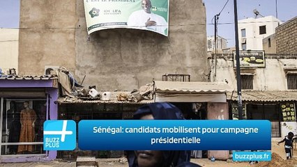 Sénégal: candidats mobilisent pour campagne présidentielle