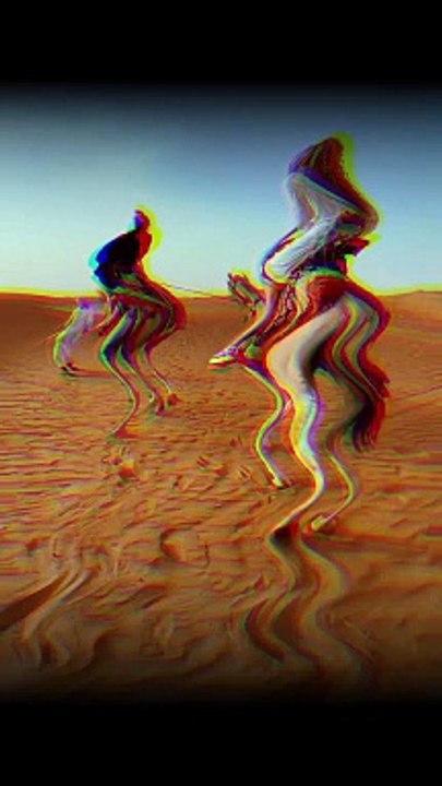 Do Camel ride with us