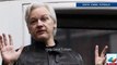 Gobierno de AMLO debería dar asilo a Julian Assange