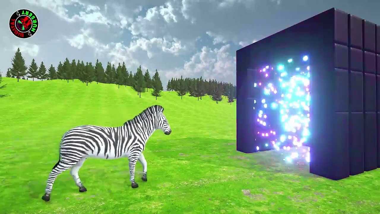 Learn Colors With Animals fox, Tiger, Lion, zabera Elephant, Shark Crossing Animal Animation