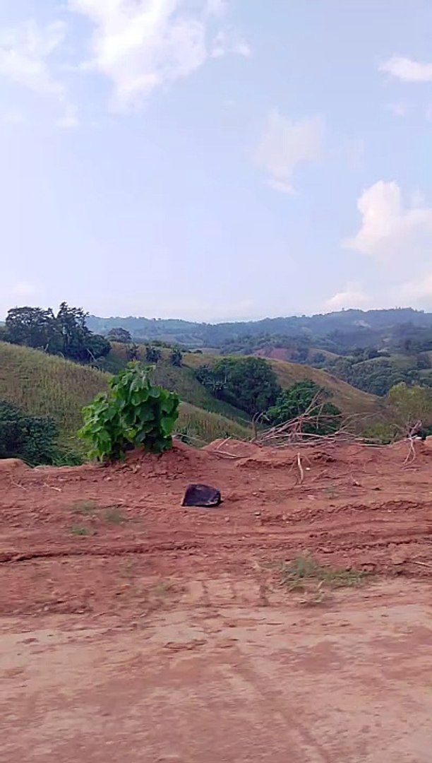 travel
