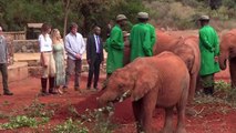 #VIRAL: Bebé elefante empuja a Melania Trump