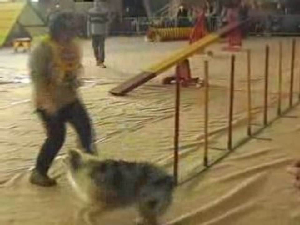 Utopie agility mastaing 2005