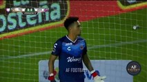 Tigres vs Veracruz 4-0 Resumen y Goles Jornada 6 Apertura 2018 LIGA MX