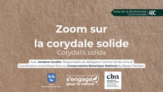Sur les traces d’un naturaliste : La Corydale solide