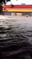 Fuertes lluvias dejan severas inundaciones en Sinaloa