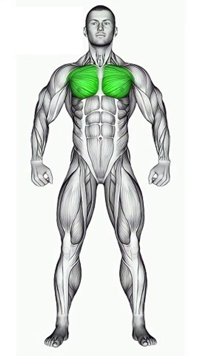 Tricep Workout #shorts #tricepsworkout #triceps #tricepsexercises