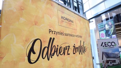 Żonkil za surowce wtórne