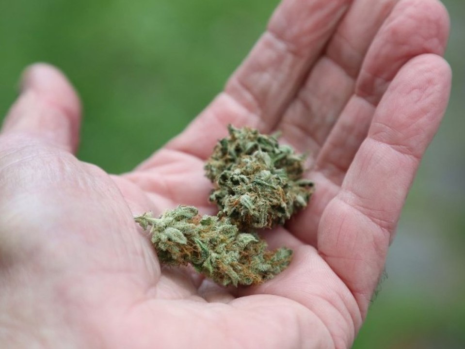 Bundesrat winkt Cannabisgesetz durch: Das ist ab dem 1. April erlaubt