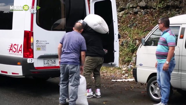 29 fundaciones y hogares de paso de Medellín recibieron tres toneladas de alimento para animales de compañía