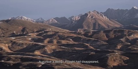 La Panthère des neiges Bande-annonce (EN)