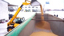 Bruxelas quer aumentar tarifas sobre os cereais russos e bielorrussos