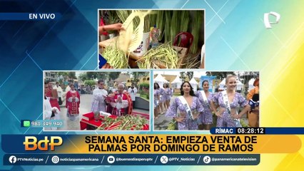 Download Video: Semana Santa: inician venta de palmas por Domingo de Ramos en el Rímac