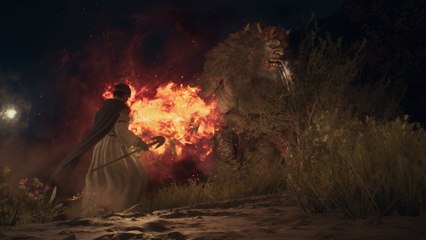 Dragon's Dogma 2: Als unterstützender Magier beflügelt ihr eure Vasallen