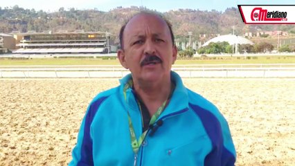 Hipismo: Jesús Romero Rojas, Entrenador.