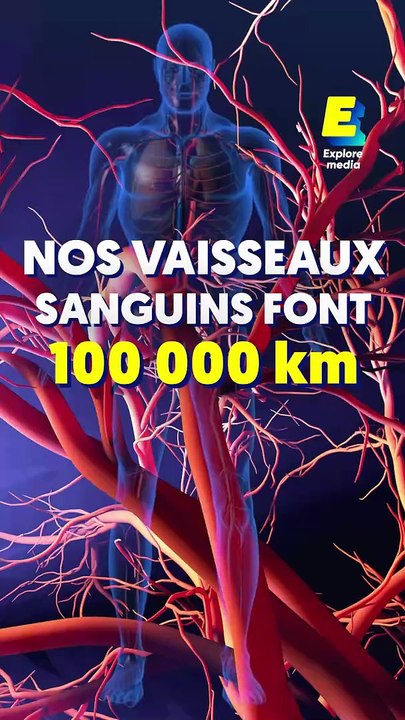 Voici 5 faits étonnants sur le corps humain !