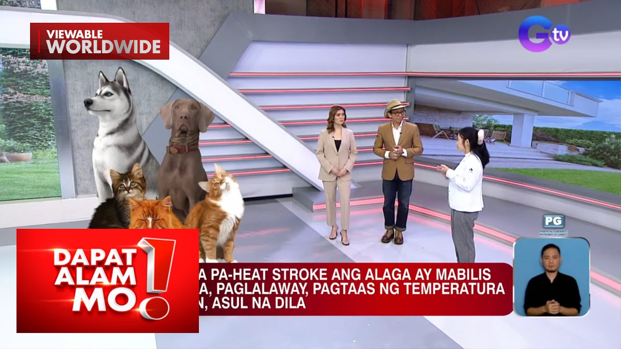 Ano-ano ang senyales ng heat stroke sa ating mga alagang hayop? | Dapat Alam Mo!