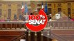 100% Sénat - TotalEnergies : le directeur des affaires publiques, Jean-Claude Mallet audition