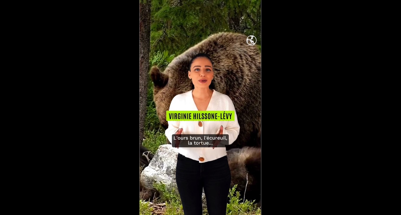 Hibernation : des animaux insomniaques à cause du réchauffement climatique