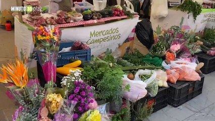 Mercados Campesinos aumentaron sus ventas en un 41