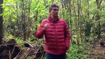 La reforestación le devuelve la vida a los Cerros Orientales de Bogotá