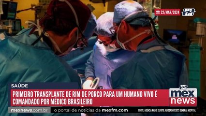 Primeiro transplante de rim de porco para um humano vivo é comandado por médico brasileiro