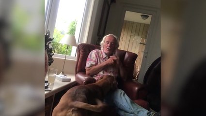 Horse whisperer argues with husband over selling land moments before stabbing him to death