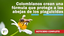 Colombianos crean una fórmula que protege a las abejas de los plaguicidas | 641 | 25 - 31 marzo 2024