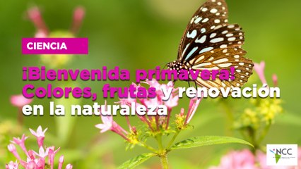 ¡Bienvenida primavera! Colores, frutas y renovación en la naturaleza