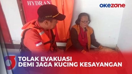 Dikepung Banjir, Ibu Ini Tolak Dievakuasi Demi Jaga Kucing Kesayangannya