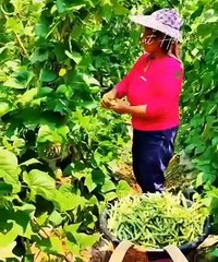 kapag may itinanim may aanihin