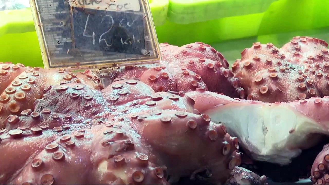 Planas descarta bajar el IVA al pescado y el sector pesquero lo califica de error