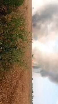 25 acres of wheat crop standing in the field burnt to ashes due to fire
