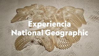 Experiencia National Arte y Naturaleza