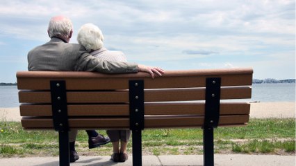 Retraite : voici les nouveaux dispositifs mis en place pour lutter contre la fraude.