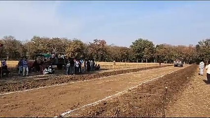 Bullock cart race competition organized in Pathrauta