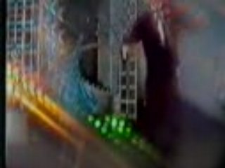 Vu dieu cha cha - Nguyen hung, ngoc bich