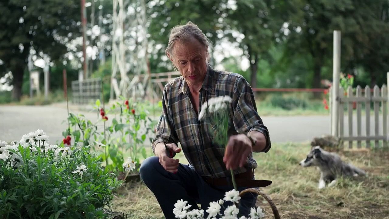 L’étoile filante Bande-annonce (PL)