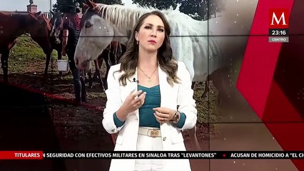 Entra en vigor 'Ley Elena' contra la zoofilia; fue promovida Elena Larrea en Puebla