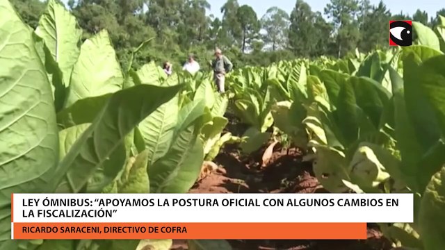 Ley Ómnibus: “Apoyamos la postura oficial con algunos cambios en la fiscalización”