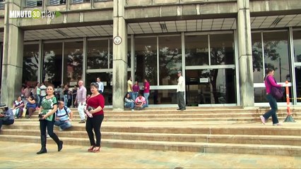 14-08-19 Tribunal Superior decide que aún no se debe liberar al oso de anteojos recuperado en Remedios