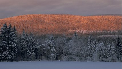 GALA VIDÉO - Découvrez le pays le plus heureux du monde… et ce n’est pas la France (loin de là)