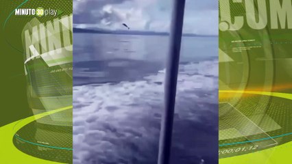 El espectáculo con el que delfines sorprendieron en Turbo Antioquia