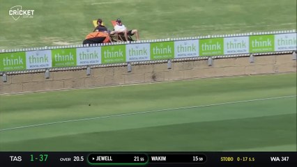Western Australia vs Tasmania  Sheffield Shield Final 2023-24  Day 2